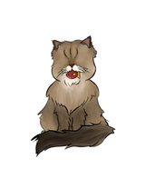 Raw Cat Cuisine 