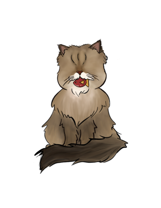 Raw Cat Cuisine 